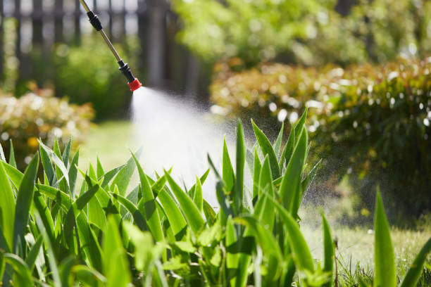 24/7 Emergency Wasp Removal experts in Utica, OH
