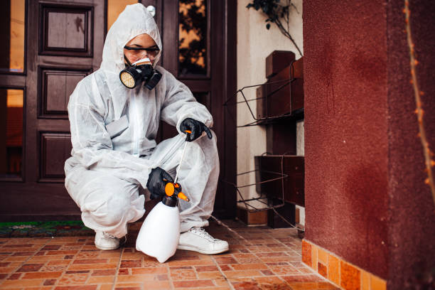 Reliable Wasp Removal contractor in Utica, OH by Show Me Pest Control